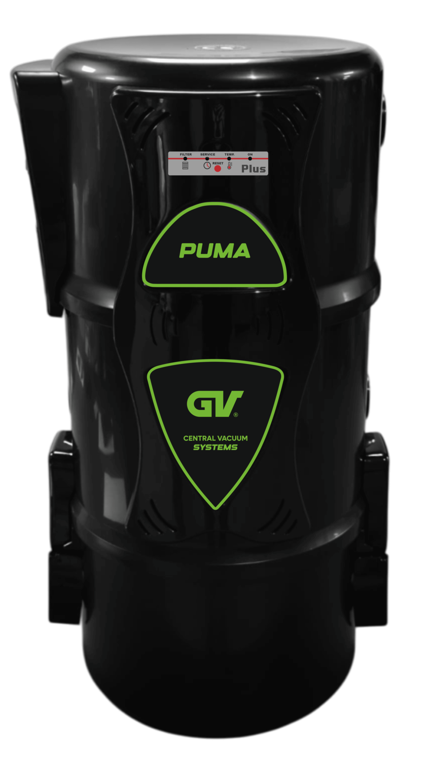 Junior Plus